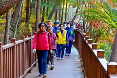 진주 진양호, 올 방문객 50만 돌파…주말 2천명 몰려
