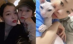 7년째 설리 고양이 품은 김선아 "네가 사랑한 아이와"