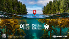 현대차 바다숲 보전 캠페인, 서울디자인어워드 ‘ESG 디자인 임팩트상' 수상
