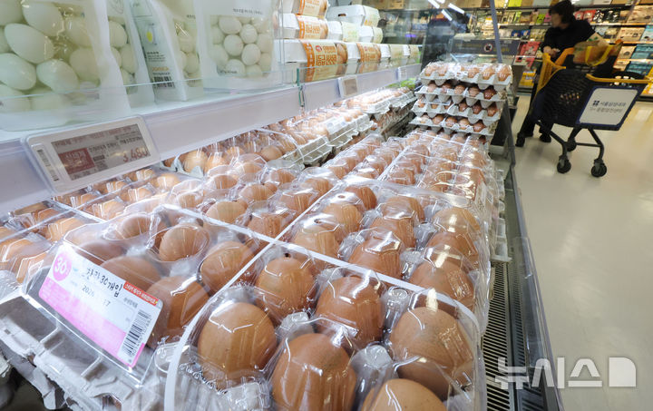 산지값 하락에도 계란값은 상승세, 조류인플루엔자 변수 주목