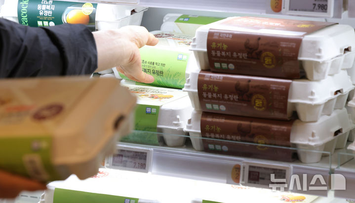 산지·도매가 하락에도 계란값 상승