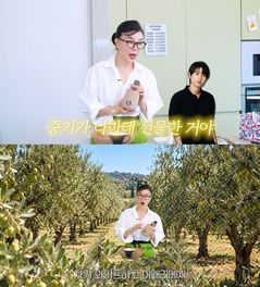 송중기♥케이티, 이탈리아서 전한 근황…직접 만든 올리브오일 선물