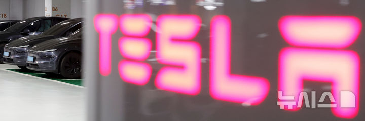테슬라, 기대보다는 양호했지만…자동차 부진에 순익 4%↓