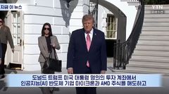 "반도체 팔고 메타 샀다"…트럼프 계좌, 30% 하락한 AI주 담은 까닭은