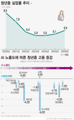 [그래픽 경제] 반도체 호황에도 청년 일자리 '한파'