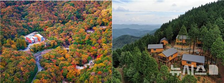 경남도, 취향 따라 즐기는 '가을 산림여행 명소' 추천