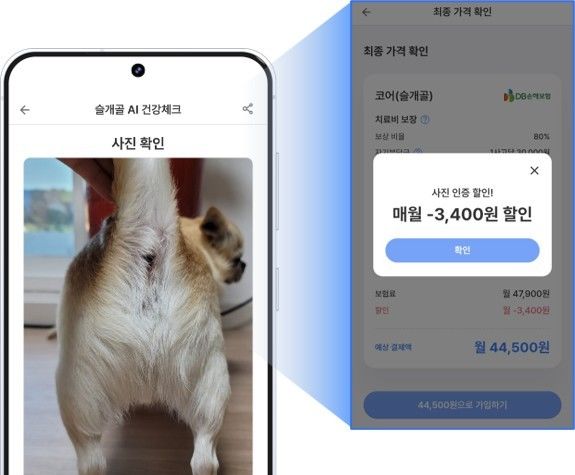 사진으로 반려동물 건강 확인…'십일리터' 이달의 A-벤처스 선정