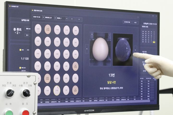 계란 돌리자 화면에 미세한 실금이…AI가 써내는 '달걀 성적표'[르포]