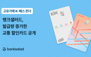 고유가에 'K-패스' 뜬다…발급량 증가한 카드는?