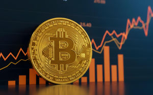 美국채금리 5.3% 시대…비트코인 연말 랠리 시험대