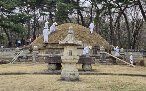 태조 이성계 잠든 억새 능, 한식에 제 올린다