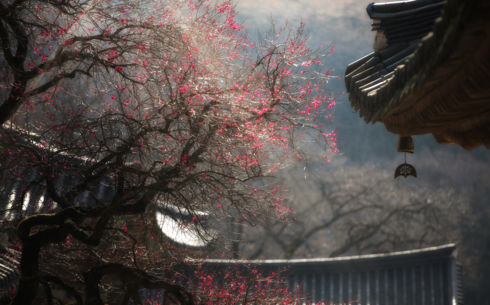 사랑을 알아 참 다행이다