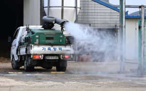 장수 오리 농장서 고병원성 AI…올겨울 60번째