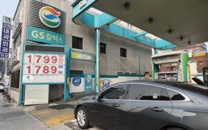 주유소 883곳, 2차 최고가격 발표 전 가격 올렸다