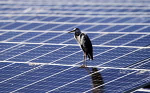 재생에너지 비중 20% 이상으로…천만명 혜택