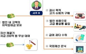 슈퍼카 타고 룸싸롱…19곳서 3000억 탈세