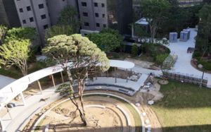 상징목이라더니 '빼빼로'…분양 광고의 배신