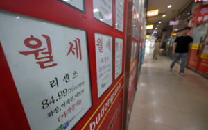 "월급 몽땅 월세로"…노도강 月300만원 시대
