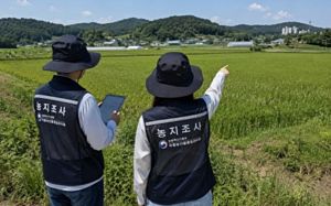 불법농지 '엄단'…투기 아니면 처분유예 기회