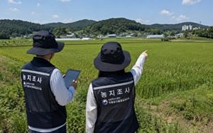 불법농지 '엄단'…투기 아니면 처분유예 기회
