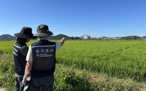 농지 절반은 '빌린 땅'…실제 농민 보호 필요