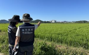 주인 따로, 경작자 따로…농지 절반 '빌린 땅'