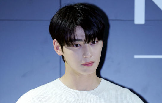 "차은우 130억 세금 납부 지각 아냐…절차 따른 대응"