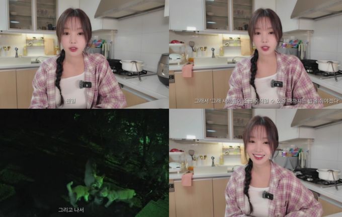 남규리, 길냥이 엄마 됐다