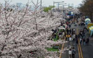 봄철 꽃가루에 소아 알레르기 ·수족구병 등 주의
