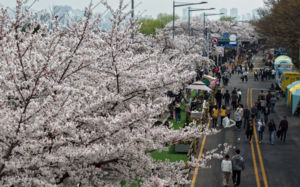 봄철 꽃가루에 소아 알레르기 ·수족구병 등 주의
