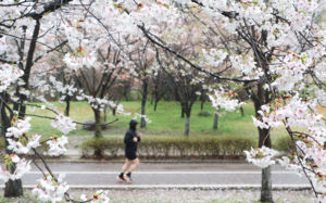 "봄이 왔으니 달려볼까"…러닝 열풍에 급증한 부정맥