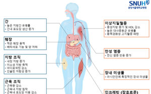 말랐는데 내가 비만?…BMI 대신할 '새 기준' 나왔다