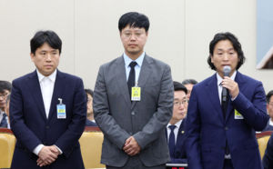 "정보 허술 관리"…IT 플랫폼들 국감서 '뭇매'