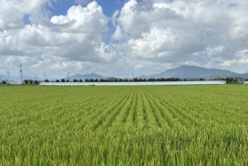 정부, 사상 첫 농지 전수조사…투기 목적이면 즉시 처분 검토
