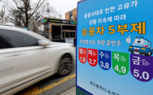 차량 5부제 시행…중고 전기차 관심 '급증'