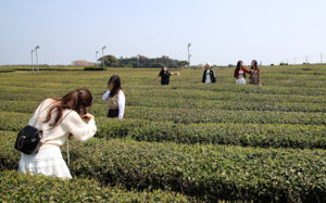 고유가에 바뀐 여행…제주·울릉도 수요 커져