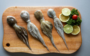 큰 일교차·미세먼지…기력 충전 5色 수산물