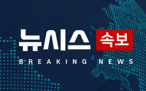 "모두의창업 정보유출때 국내IP 39개 접근시도"