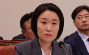 800만원 오디오, 온라인서 '온누리'로 결제?