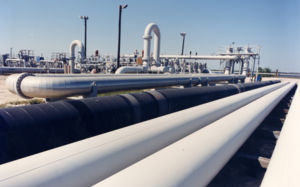 비축유 방출 순위 공개…美>日>캐나다>한국