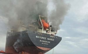 휴전 발표 후 선박 2척, 호르무즈 해협 통과