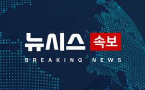 주한미군 "2029년까지 전작권 전환 조건 충족 계획"