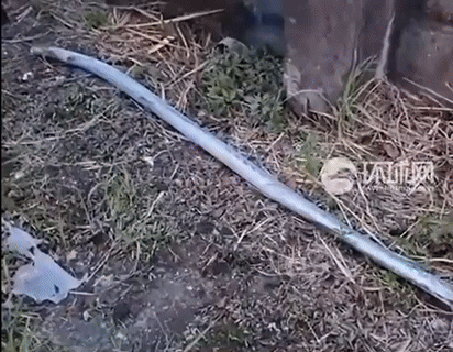 73cm 쇠막대에 찔렸지만…끝까지 운전대 놓지 않았다