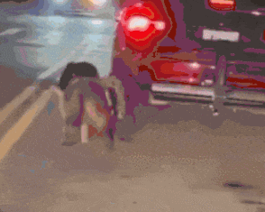 "안에서 똥 쌀까 봐"…차 뒤에 개 두 마리 묶고 도로 달린 美60대