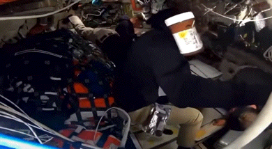 아르테미스에 '누텔라'가 둥둥…"역대급 공짜광고"