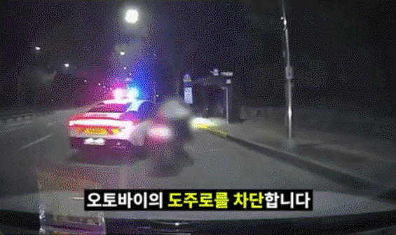 "새벽 5시 광란의 질주"…경찰차 2대로 폭주족 잡는 법