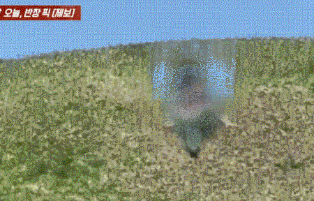 경주 고분서 슝~ 내려온 자리 그대로 잔디 훼손