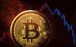 강남경찰서 비트코인 유출 피의자 2명 체포…"경찰은 아닌 듯"