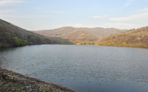 "공포 성지? 유튜버들이 만든 것"…살목지는 그저 평온