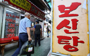 일본으로 개고기 관광?…日, 식용 금지법 추진